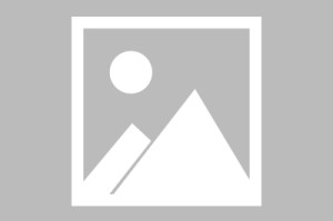 世界短跑接力赛国际友好赛筹备委员会发布首份简报，中国短跑接力赛最好成绩