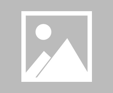 世界短跑接力赛国际友好赛筹备委员会发布首份简报，中国短跑接力赛最好成绩